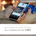 Un site E-commerce avec Joomla ?